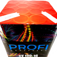 Салютна установка PROFI СУ 16-100 - головне фото